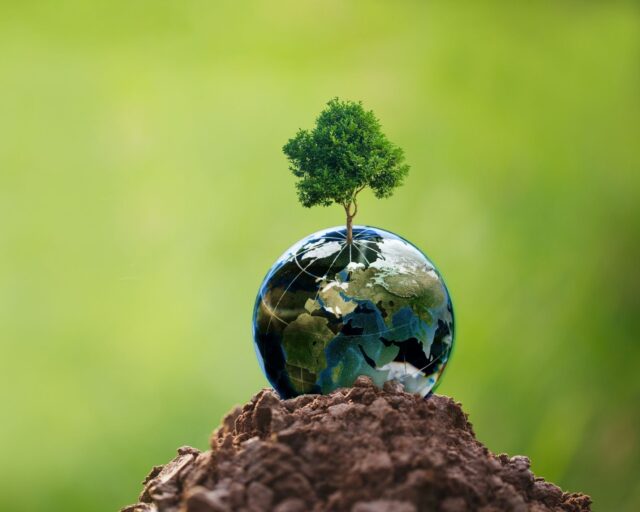 Illustration Cryla obtient les certifications « Entreprise Engagée » et EcoVadis